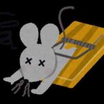 ノアのドアを開けた瞬間のあの絶望。車内のネズミ死骸臭、3分で決める「自力」か「プロ」かの境界線